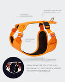 Visibility Harness Orange for Dogs