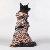 Visibility Dog Raincoat - Lite Leopard