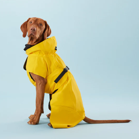 Visibility Dog Raincoat - Lite Yellow
