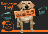 HAPPY HOWL-O-WEEN FIRE HOSE TRAINING TUG - Bulletproof Pet Products Inc