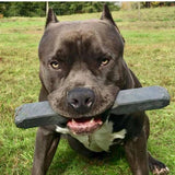 Indestructibone Professional Grade Super Max - Dogs 101 lbs. + - Bulletproof Pet Products Inc