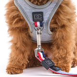 Luxe No-Pull Step-In Dog Harness - Champion