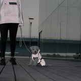 Visibility Raincoat ~ Black - Le Pet Luxe