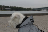 Visibility Raincoat ~ Black - Le Pet Luxe