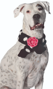 Black Polka Dot Flower Dog Scarf - Le Pet Luxe