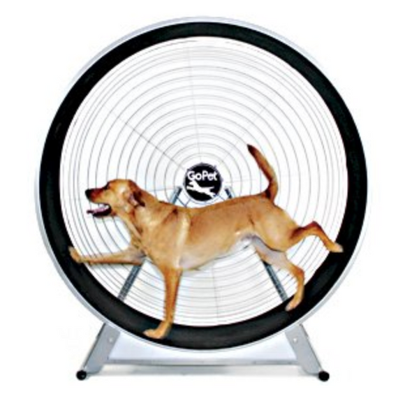 GoPet TreadWheel For Large Dogs - Le Pet Luxe