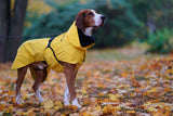 Visibility Raincoat ~ Yellow - Le Pet Luxe