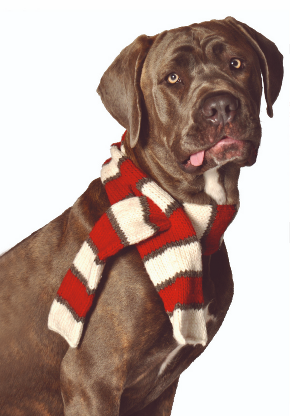 Hand Knit Wool White and Red Dog Scarf - Le Pet Luxe