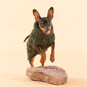 Handmade Knit Sweater Green for Dogs