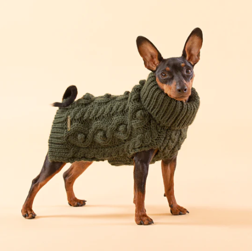 Stylish Handmade Green Sweater for Dogs | Le Pet Luxe