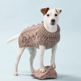 Handmade Knit Sweater Taupe for Dog | Le Pet Luxe