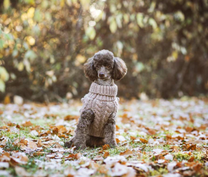 Handmade Knit Sweater Taupe for Dogs