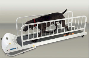 PetRun PR725 Dog Treadmill - Le Pet Luxe