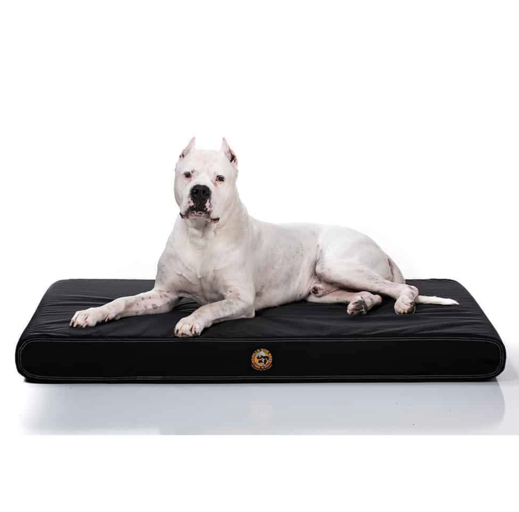 Large chew shop proof dog bed