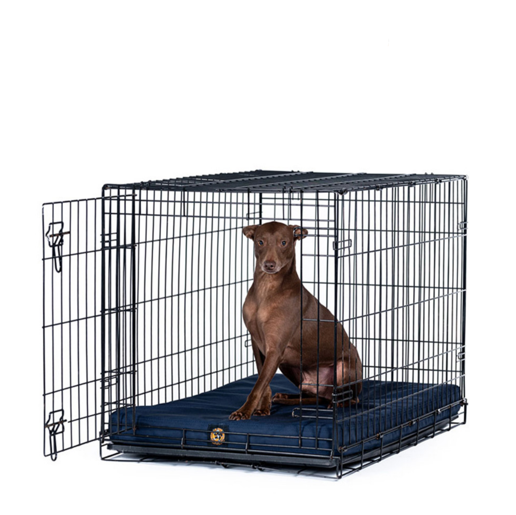 Solid Color Gorilla Ballistic Tough Orthopedic Dog Crate Pad Le Pet Luxe