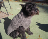 Cable knits ~ Grey Cable Knit Wool Dog sweater - Le Pet Luxe