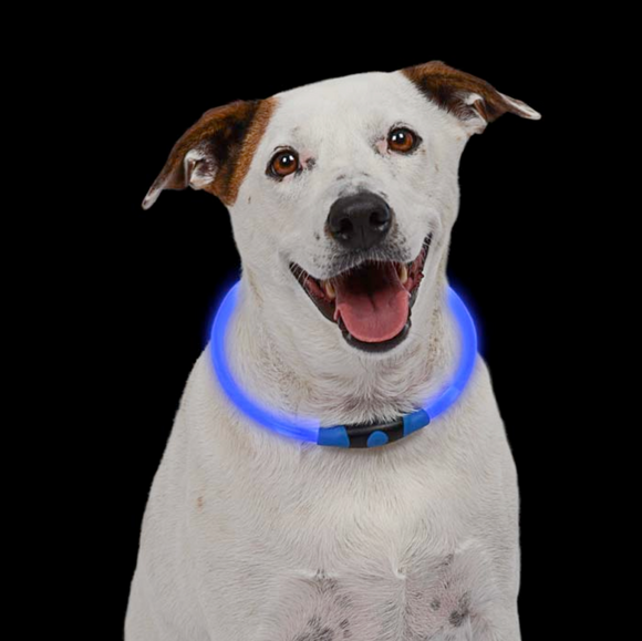 NiteHowl LED Safety Necklace ~ Blue - Le Pet Luxe