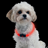 NiteHowl LED Safety Necklace ~ Red - Le Pet Luxe