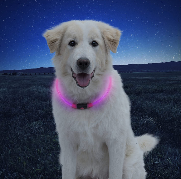 NiteHowl LED Safety Necklace ~ Pink - Le Pet Luxe