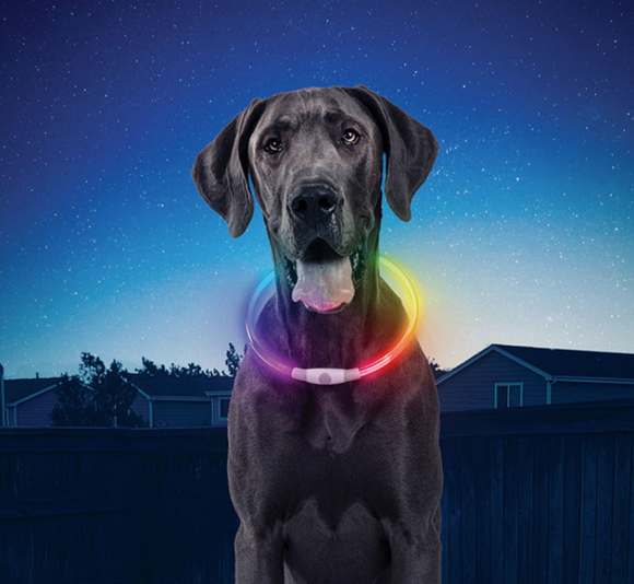 NiteHowl Rechargeable LED Necklace ~ Disco-O Select - Le Pet Luxe