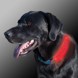 Nite Dawg - LED Dog Collar COVER - Le Pet Luxe