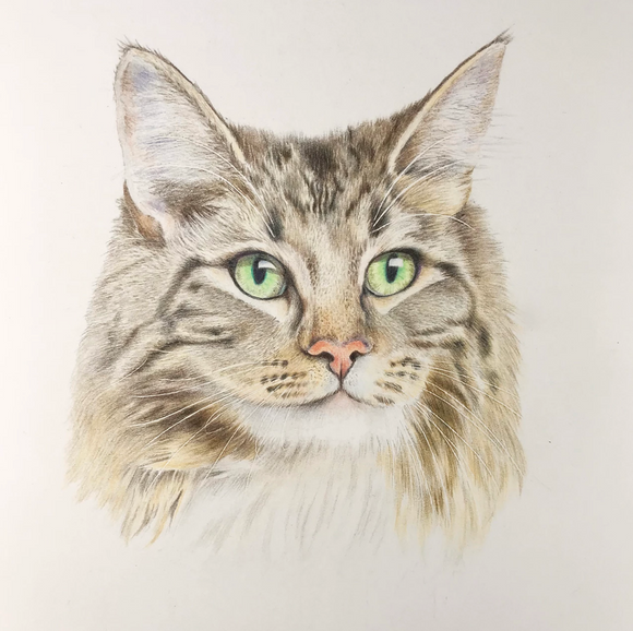 Personalized Pet Portraits ~ Cats - Le Pet Luxe