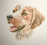 Personalized Pet Portraits ~ Dogs - Le Pet Luxe