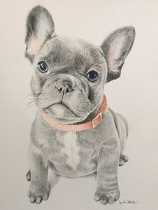 Personalized Pet Portraits ~ Dogs - Le Pet Luxe