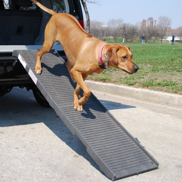 PetStep Folding Step Dog Ramp ~ Gray - Le Pet Luxe