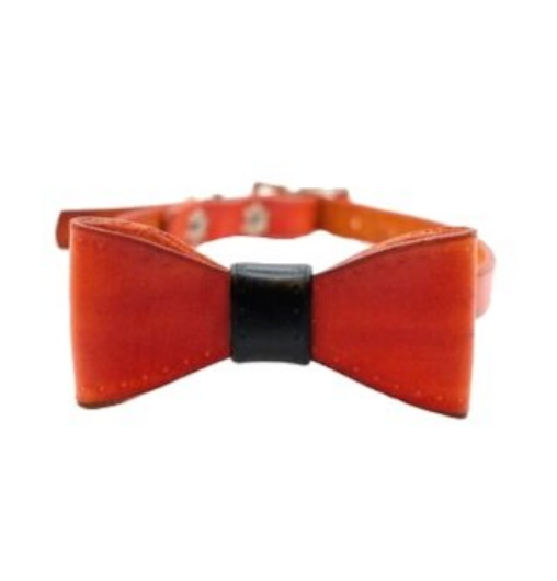 Burnt Orange Mini Collar & Bow