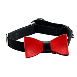 Cayenne Snap-on Bow Tie