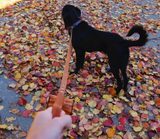 Woodgrain Dog Leash