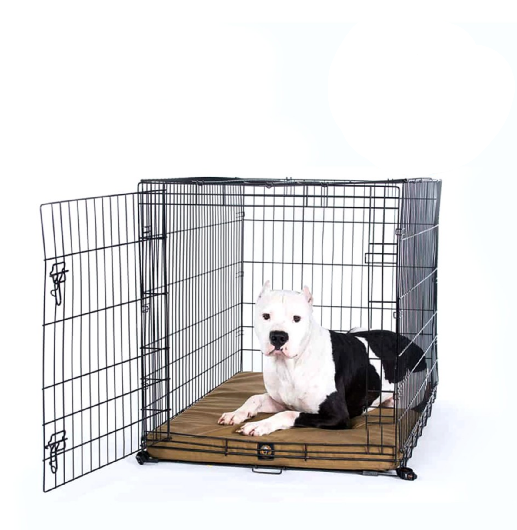 Tough crate sales for dogs