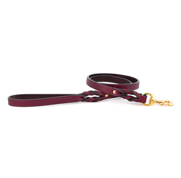 Braided Leash with Brass Hardware