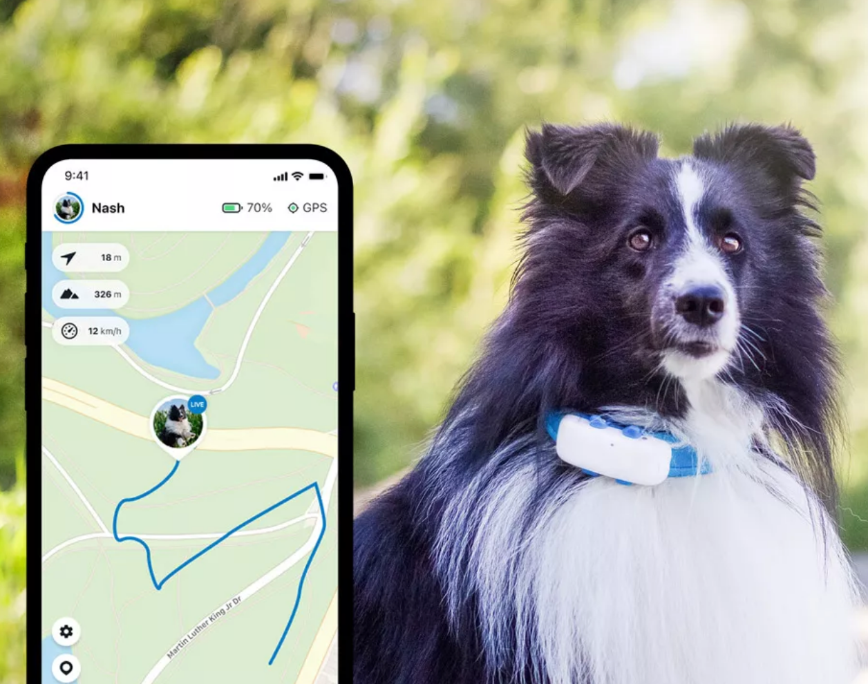 The COMPLETE Review Of The NEW Tractive GPS LTE 