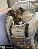 Aspen Series Airline Capable Backpack Pet Carrier