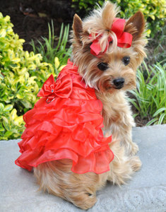 Christmas Red Satin Ruffled Dress with D Ring and Leash