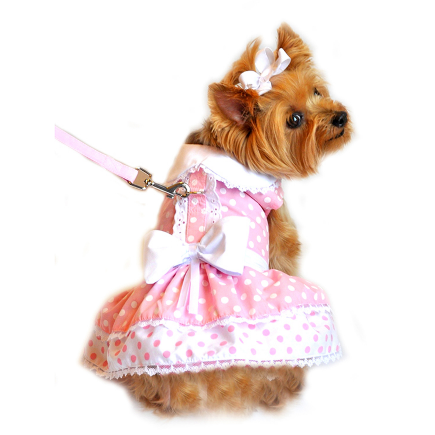 Pink Polka Dot and Lace Dog Dress Set - with Leash, Medium