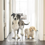 Clear Freestanding Pet Gate Panel | Options