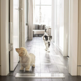 Clear Freestanding Pet Gate Panel | Options