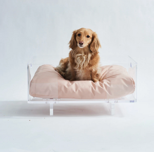 Clear Rectangular Lucite Dog Bed