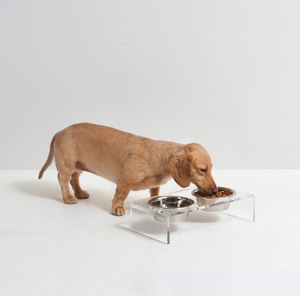 Small Clear Double Dog Bowl Feeder with Silver Bowls