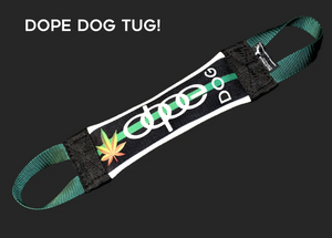 Green Dope Dog Fire Hose Tug
