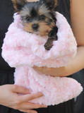 Snuggle Pup Sleeping Bag Dog Blanket ~ Pink