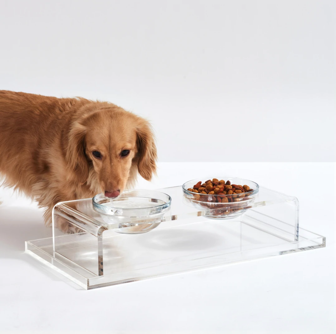 Large Clear Double Dog Bowl Feeder with Gold Bowls