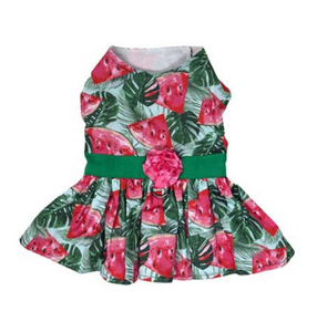 Juicy Watermelon Dog Dress with Matching Leash