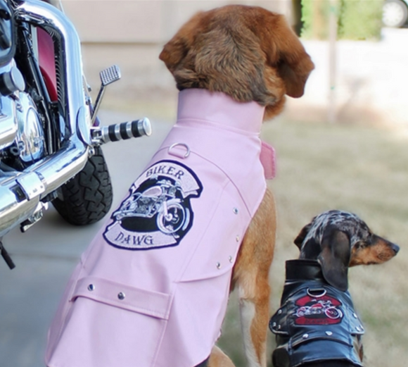 Biker Dawg Motorcycle Jacket ~ Pink