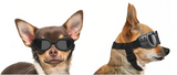 QUMY Small Dog Goggles UV
