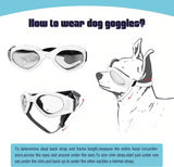QUMY Dog Goggles