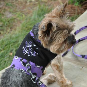 Halloween Dog Harness - To Cute To Spook